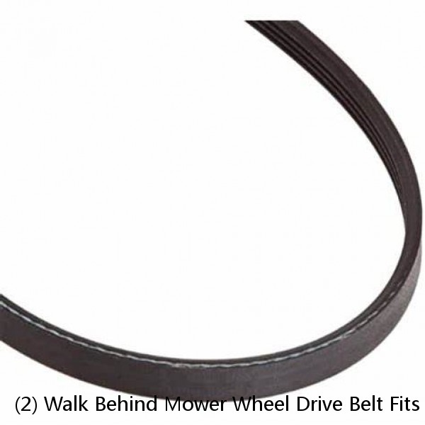 (2) Walk Behind Mower Wheel Drive Belt Fits Scag 36