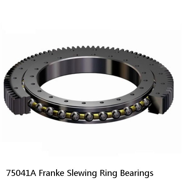 75041A Franke Slewing Ring Bearings