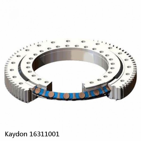 16311001 Kaydon Slewing Ring Bearings