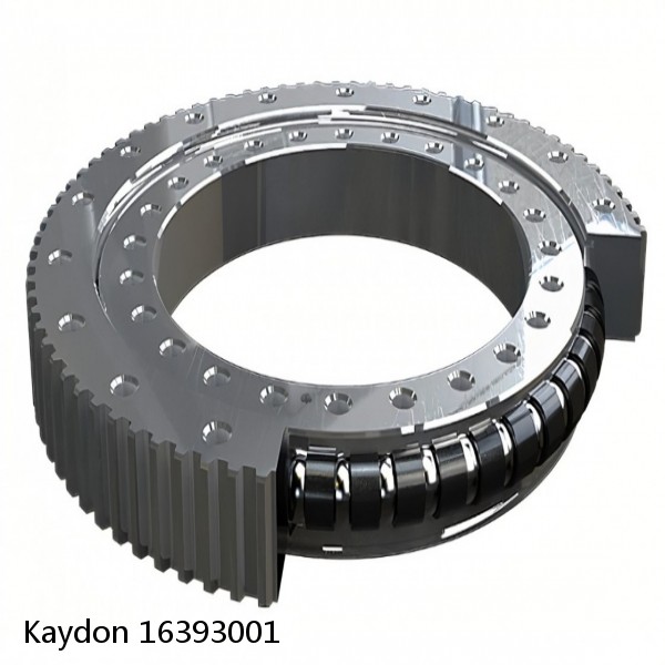 16393001 Kaydon Slewing Ring Bearings