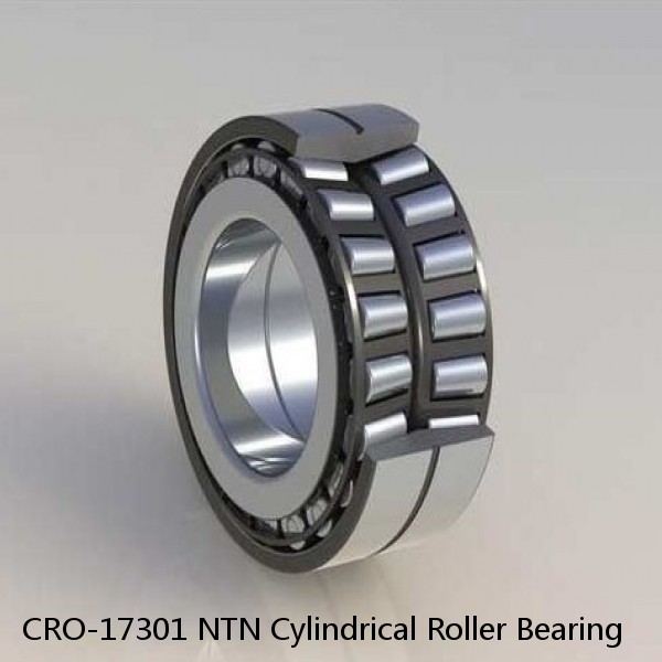 CRO-17301 NTN Cylindrical Roller Bearing