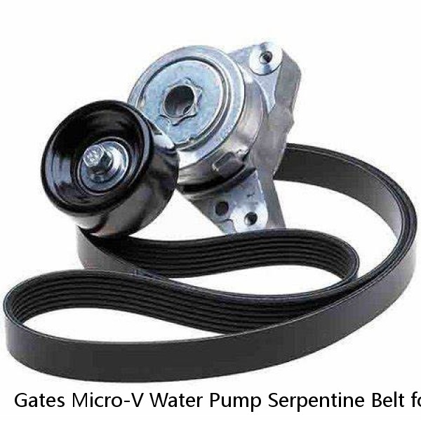 Gates Micro-V Water Pump Serpentine Belt for 2001-2004 Ford Escape 3.0L V6 xd #1 small image