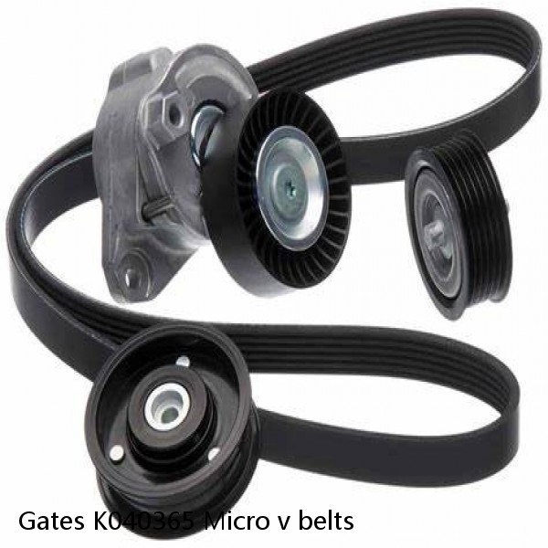 Gates K040365 Micro v belts #1 small image