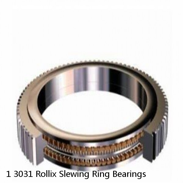 1 3031 Rollix Slewing Ring Bearings #1 image