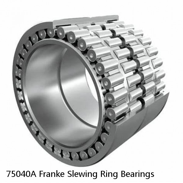 75040A Franke Slewing Ring Bearings #1 image