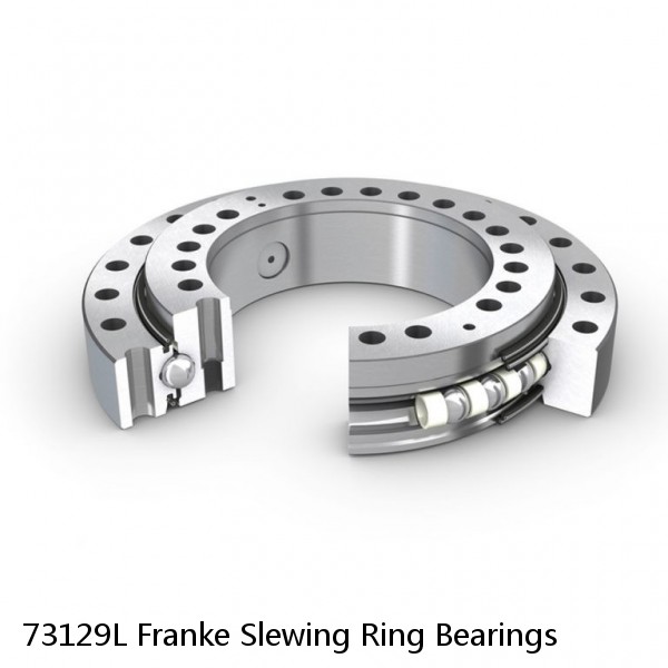 73129L Franke Slewing Ring Bearings #1 image