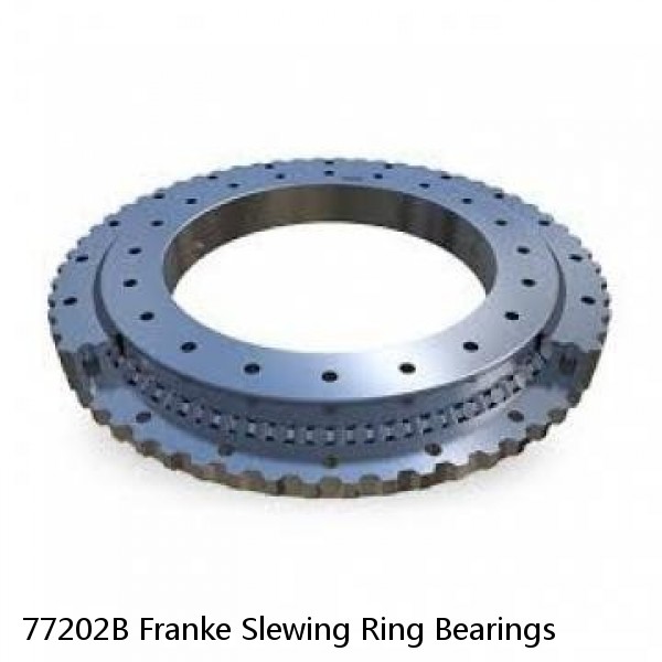 77202B Franke Slewing Ring Bearings #1 image