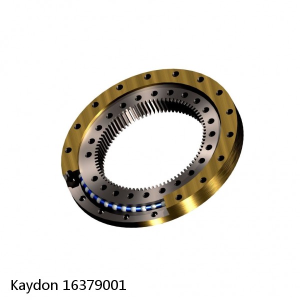 16379001 Kaydon Slewing Ring Bearings #1 image
