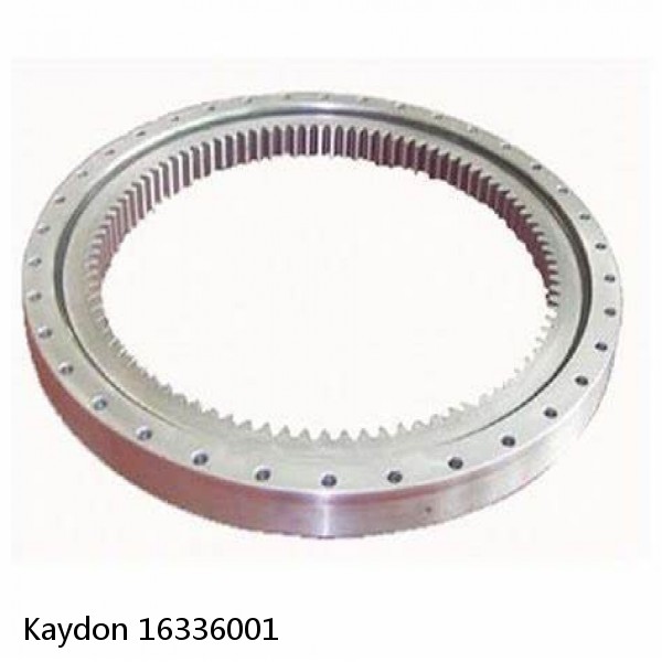 16336001 Kaydon Slewing Ring Bearings #1 image