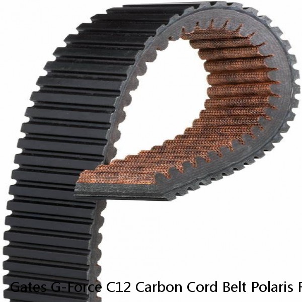 Gates G-Force C12 Carbon Cord Belt Polaris Ref 3211180 XTX2275 UA441 27C4159 #1 image